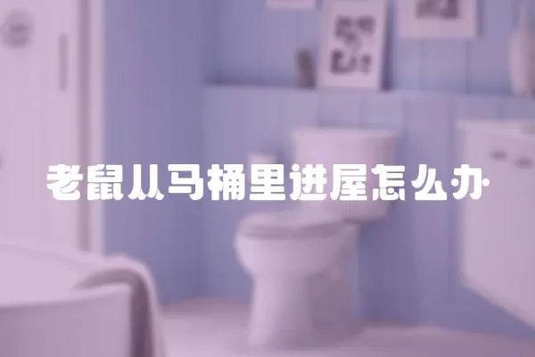 老鼠從馬桶里進屋怎么辦