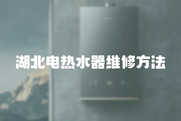 湖北電熱水器維修方法