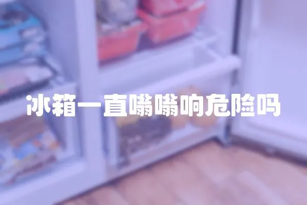 冰箱一直嗡嗡響危險嗎