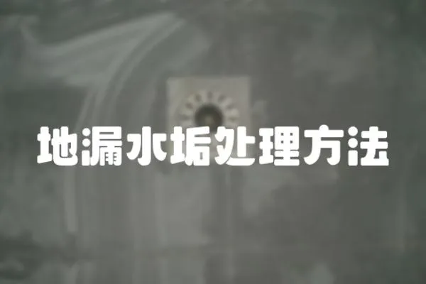 地漏水垢處理方法