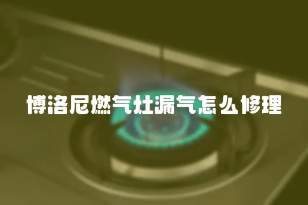 博洛尼燃氣灶漏氣怎么修理