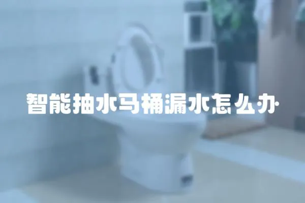 智能抽水馬桶漏水怎么辦
