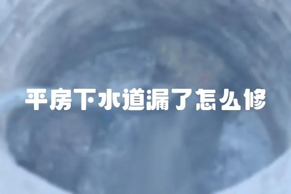平房下水道漏了怎么修