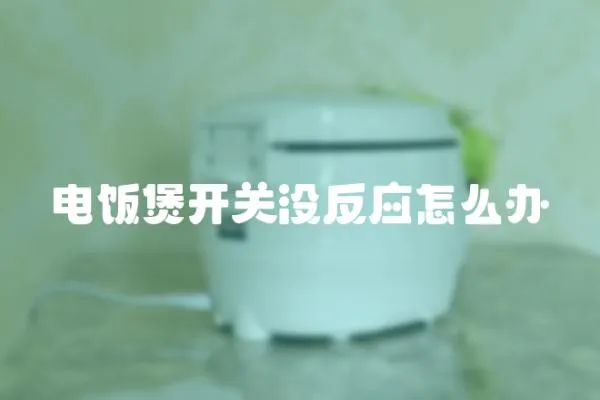 電飯煲開關沒反應怎么辦