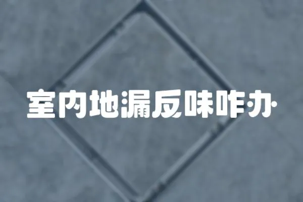 室內(nèi)地漏反味咋辦