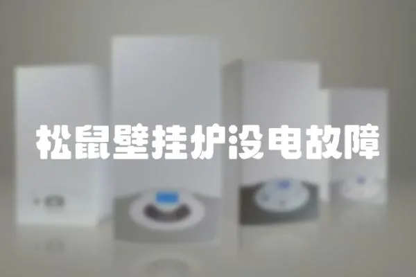 松鼠壁掛爐沒電故障