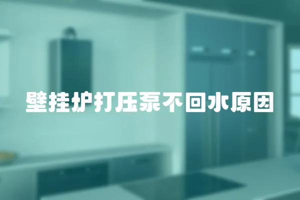 壁掛爐打壓泵不回水原因