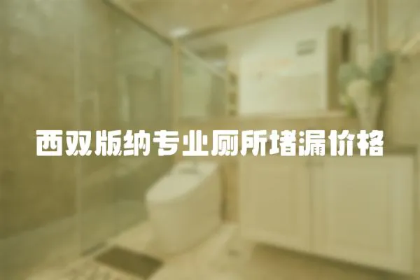 西雙版納專業廁所堵漏價格