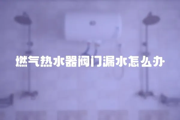 燃氣熱水器閥門漏水怎么辦