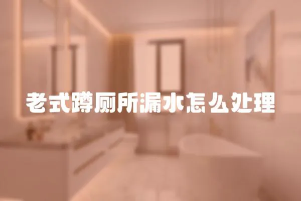 老式蹲廁所漏水怎么處理