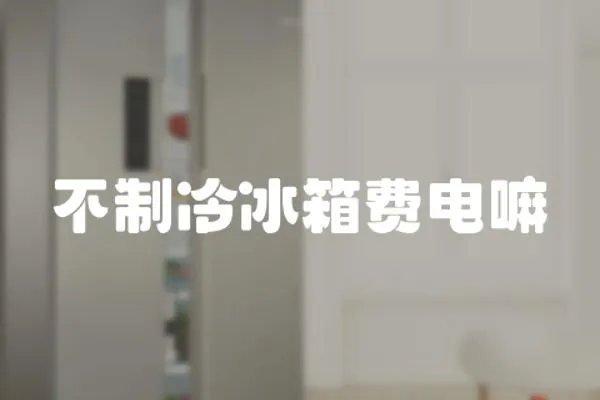 不制冷冰箱費電嘛