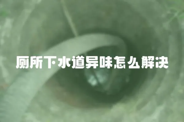 廁所下水道異味怎么解決