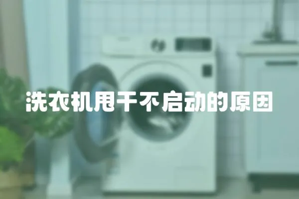 洗衣機(jī)甩干不啟動(dòng)的原因