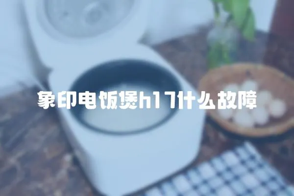 象印電飯煲h17什么故障