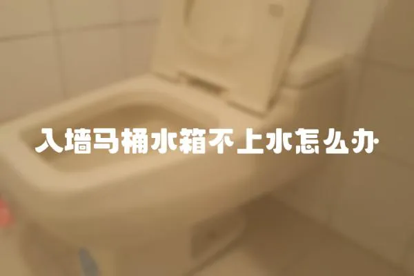 入墻馬桶水箱不上水怎么辦