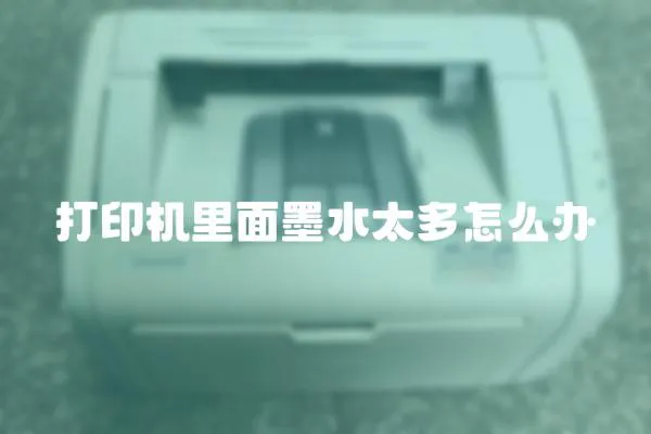 打印機里面墨水太多怎么辦