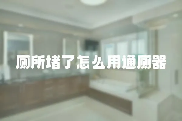 廁所堵了怎么用通廁器