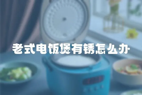 老式電飯煲有銹怎么辦
