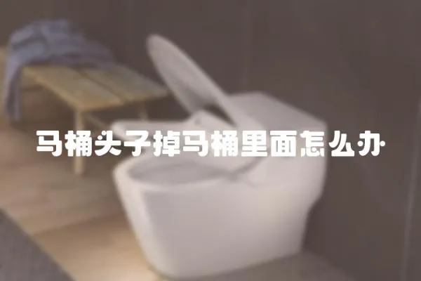 馬桶頭子掉馬桶里面怎么辦