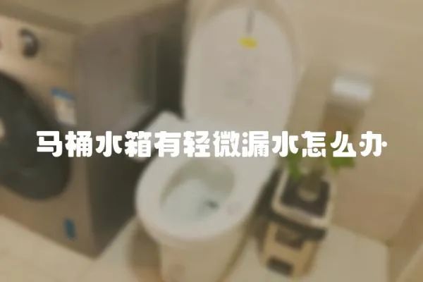 馬桶水箱有輕微漏水怎么辦