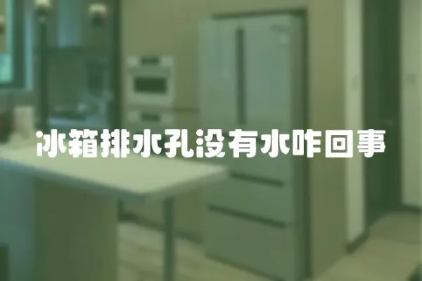 冰箱排水孔沒有水咋回事