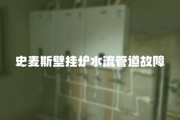 史麥斯壁掛爐水流管道故障