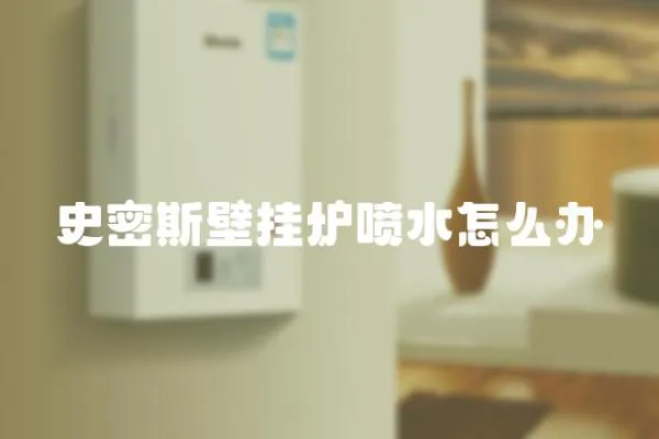 史密斯壁掛爐噴水怎么辦