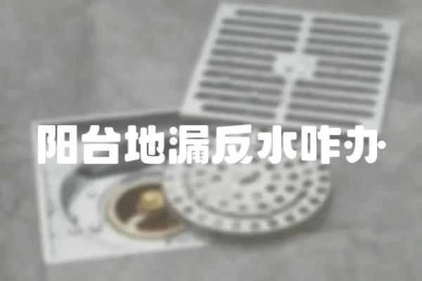 陽臺地漏反水咋辦