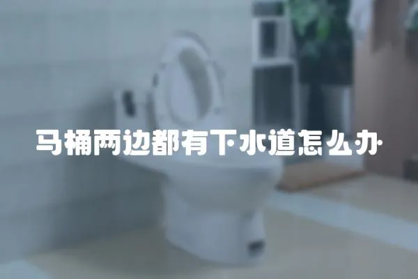 馬桶兩邊都有下水道怎么辦