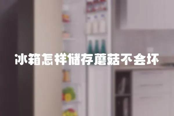 冰箱怎樣儲存蘑菇不會壞