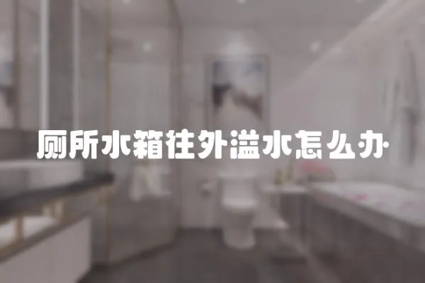 廁所水箱往外溢水怎么辦