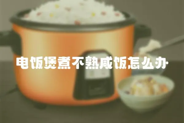 電飯煲煮不熟咸飯怎么辦