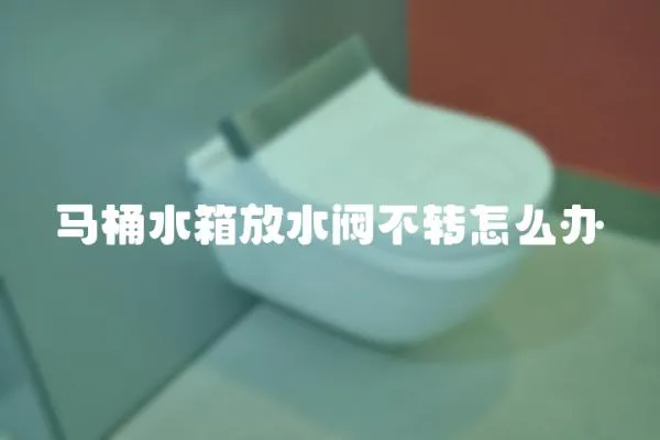 馬桶水箱放水閥不轉怎么辦