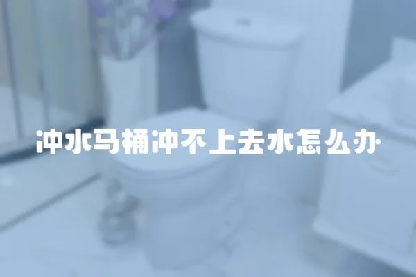 沖水馬桶沖不上去水怎么辦