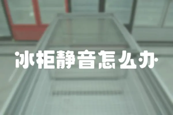 冰柜靜音怎么辦