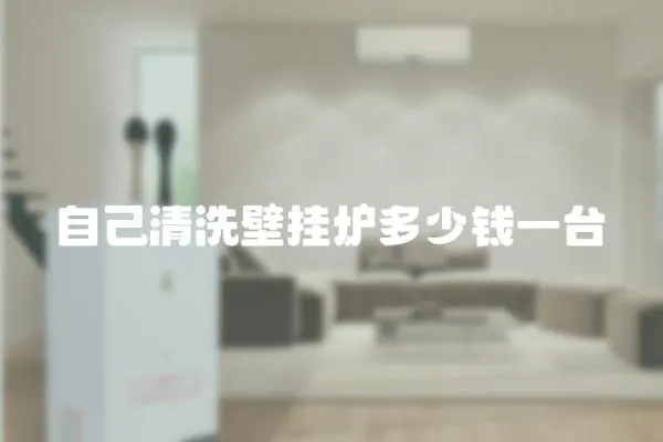 自己清洗壁掛爐多少錢一臺