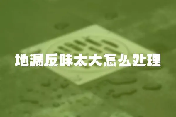 地漏反味太大怎么處理