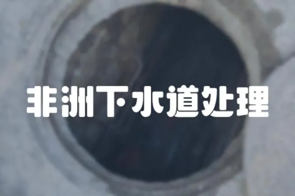 非洲下水道處理