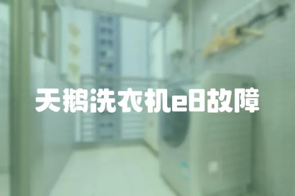 天鵝洗衣機e8故障