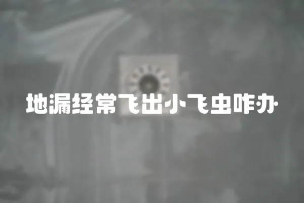 地漏經常飛出小飛蟲咋辦