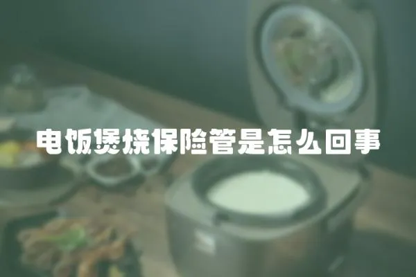 電飯煲燒保險(xiǎn)管是怎么回事