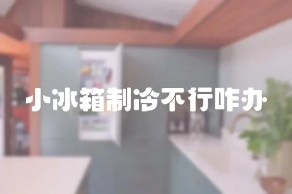 小冰箱制冷不行咋辦