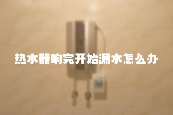 熱水器響完開始漏水怎么辦