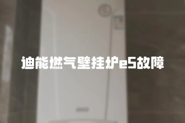 迪能燃?xì)獗趻鞝te5故障