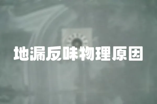 地漏反味物理原因