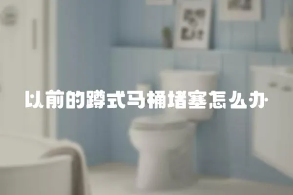 以前的蹲式馬桶堵塞怎么辦