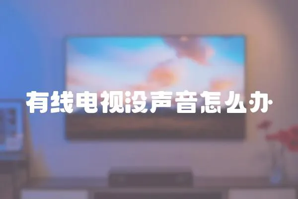 有线电视没声音怎么办