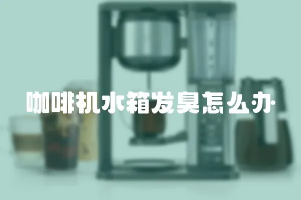 咖啡機水箱發臭怎么辦