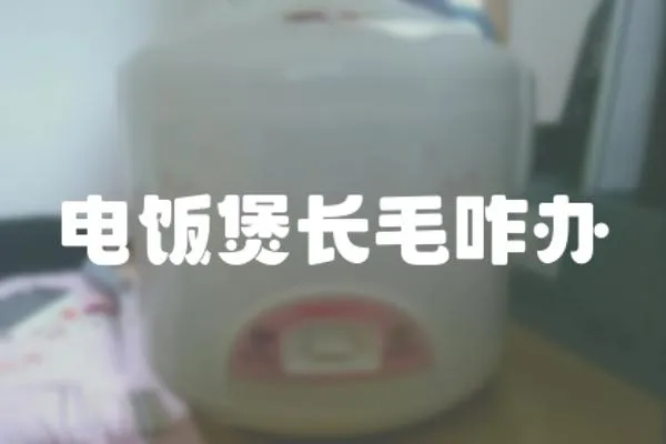 電飯煲長毛咋辦