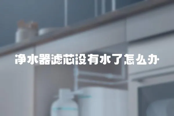凈水器濾芯沒有水了怎么辦